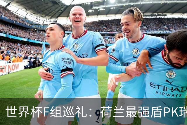 世界杯F组巡礼：荷兰最强盾PK瑞典犀利刀 日本短板明显