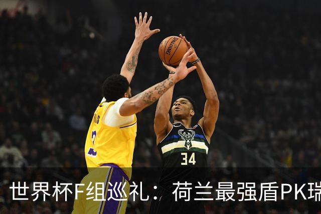 世界杯F组巡礼：荷兰最强盾PK瑞典犀利刀 日本短板明显