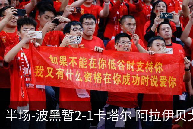 半场-波黑暂2-1卡塔尔 阿拉伊贝戈维奇世界波破门哲科造乌龙