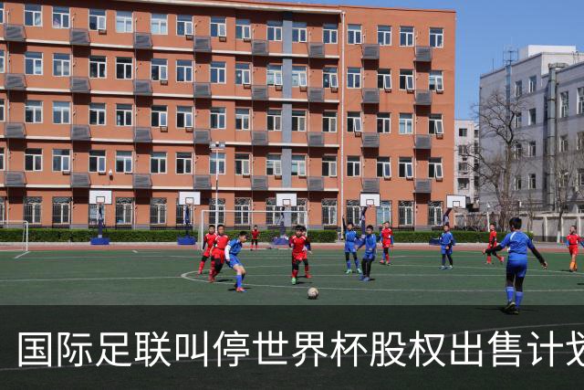 国际足联叫停世界杯股权出售计划