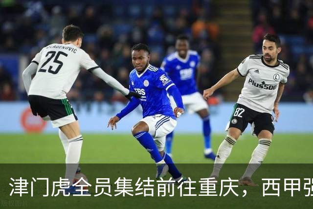 津门虎全员集结前往重庆，西甲强援加入争取保底1分