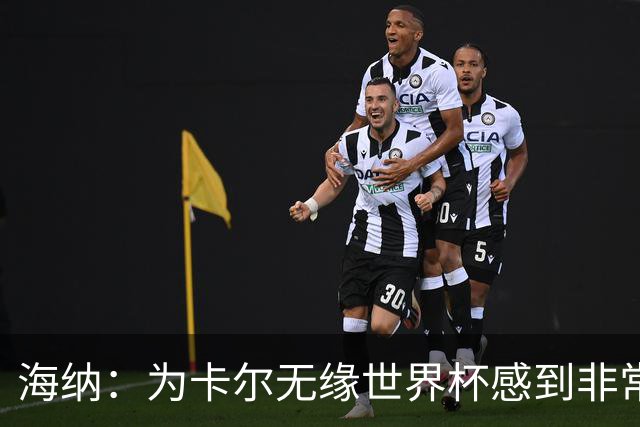 海纳：为卡尔无缘世界杯感到非常遗憾 他的未来依然无比广阔