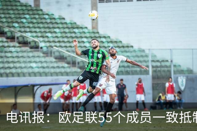 电讯报：欧足联55个成员一致抵制世界杯私有计划，30多个成员发言