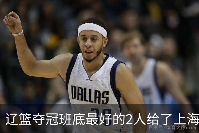 辽篮夺冠班底最好的2人给了上海？球迷：最该感谢的是张镇麟老婆